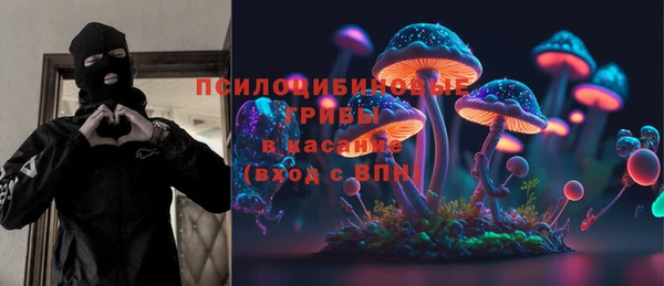 мдпв Белокуриха