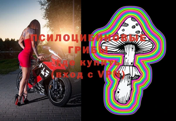 МДПВ Богородицк